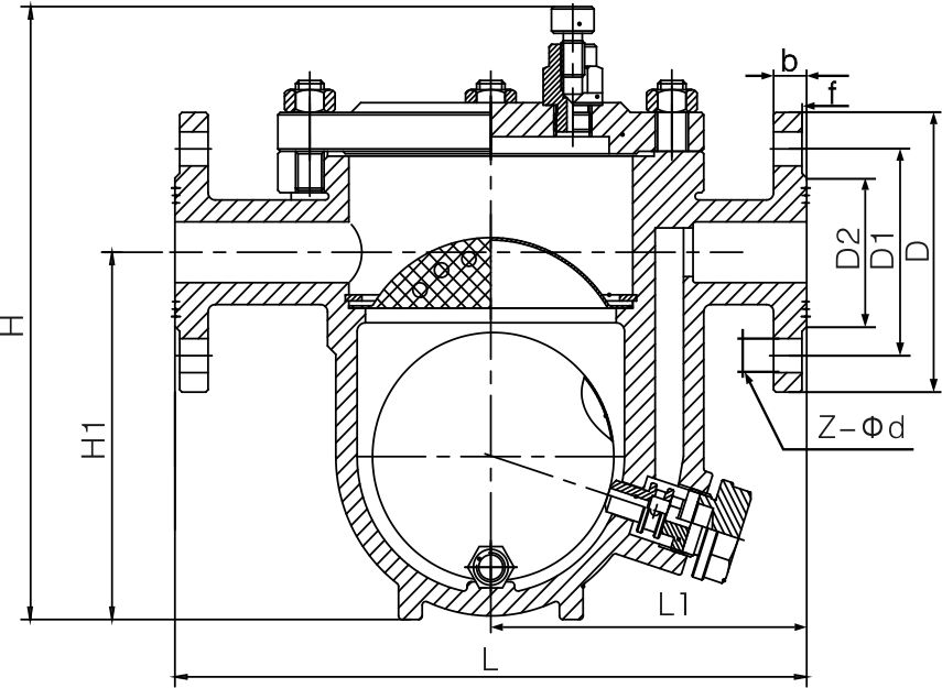 Free floating ball drain valve (flange)(圖1)