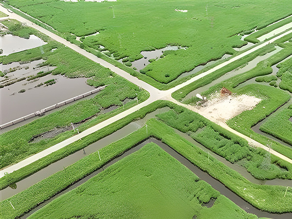 Build green and low-carbon oil fields to be the "pillar" of green development(圖1)